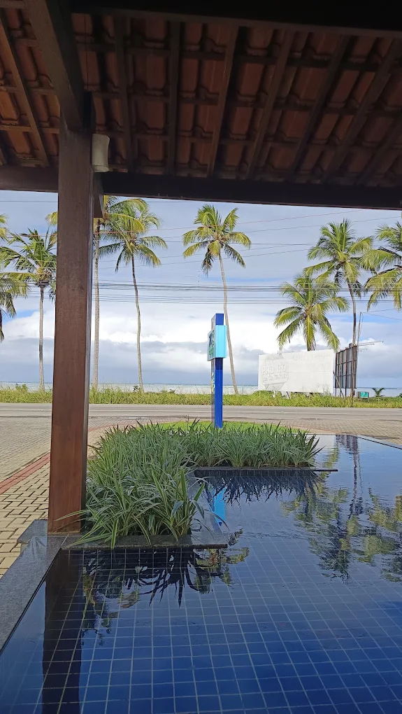 Espelho d'água refletindo coqueirais no Mar de Japaratinga