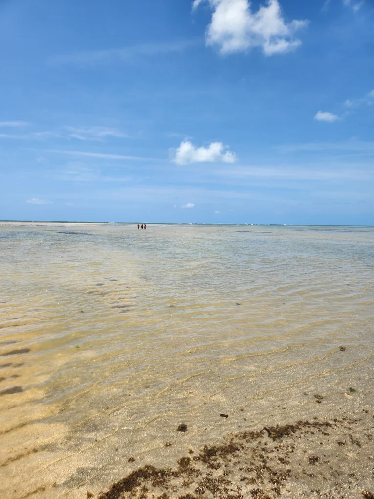 Mar raso e cristalino formando piscinas naturais em Japaratinga